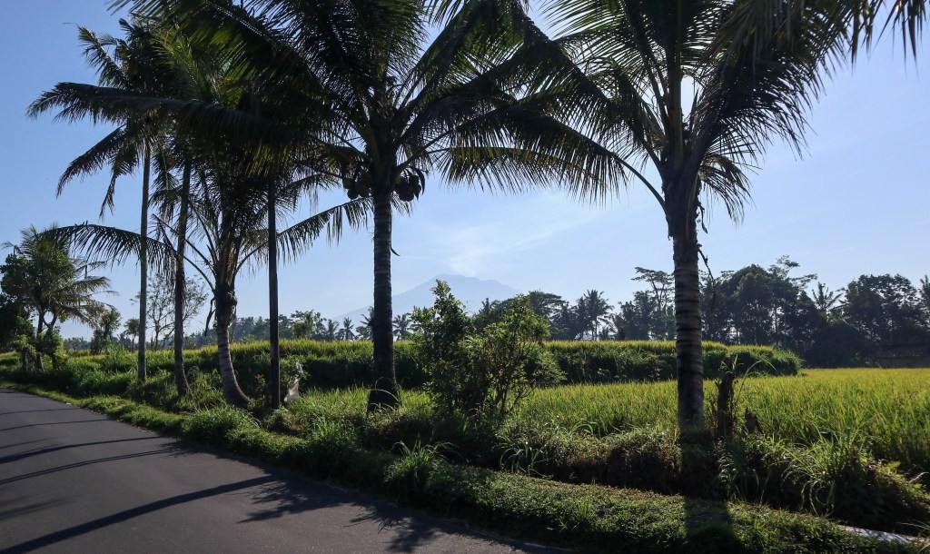 The road to Tukad Cepung waterfall