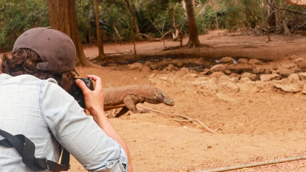 Encounter with the dragon at Loh Liang, Komodo Island