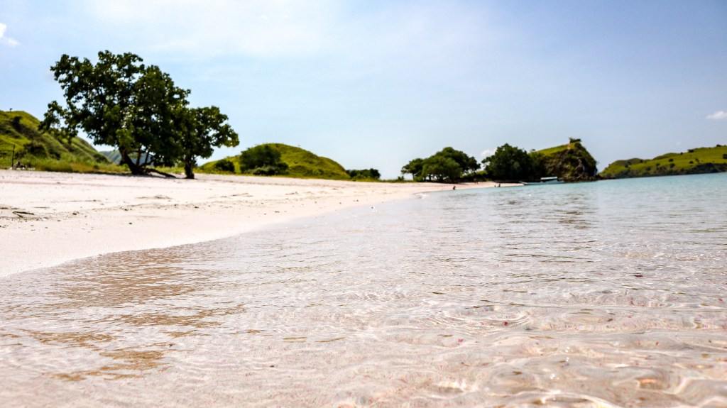 Pink Beach, Komodo National Park