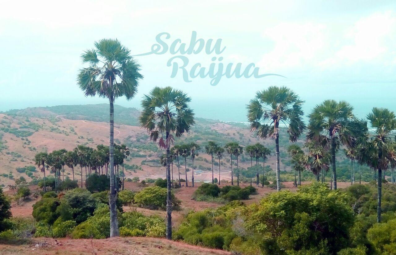 Sabu Island coastline