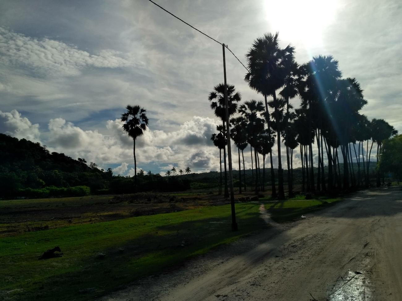 Main road in Raijua Island