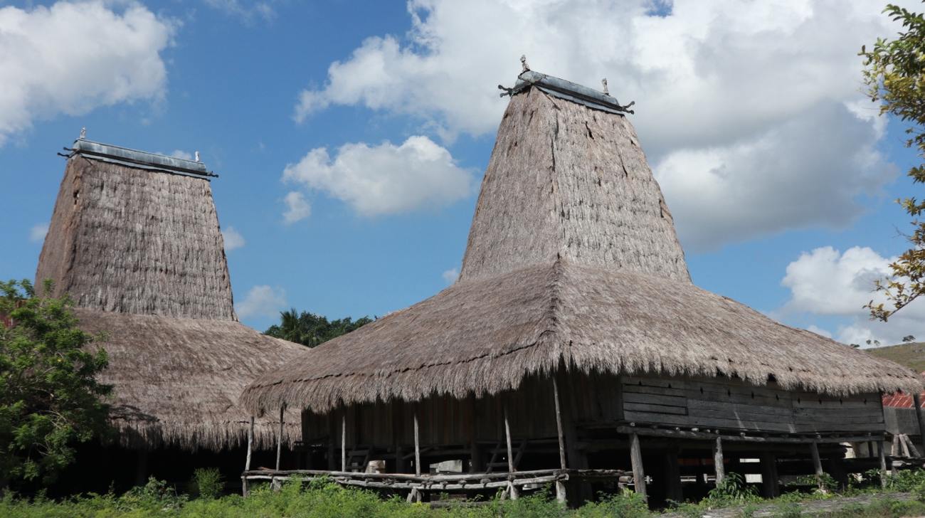 Traditional peaked-roof houses, Sumba