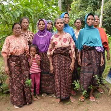 Lio women in traditional ikat sarongs — Day 2
